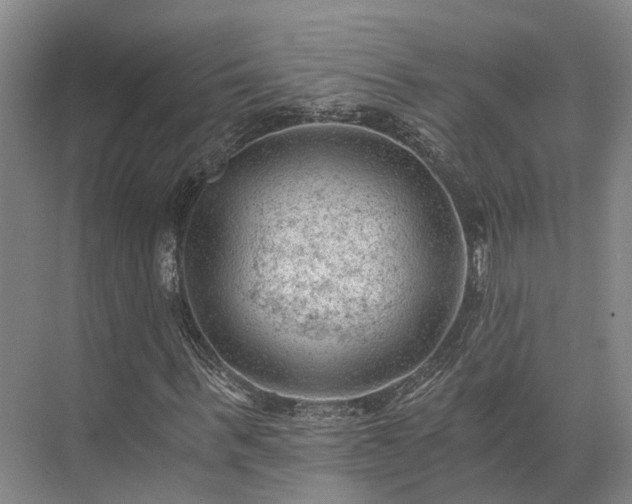 X0000072960963200607282252