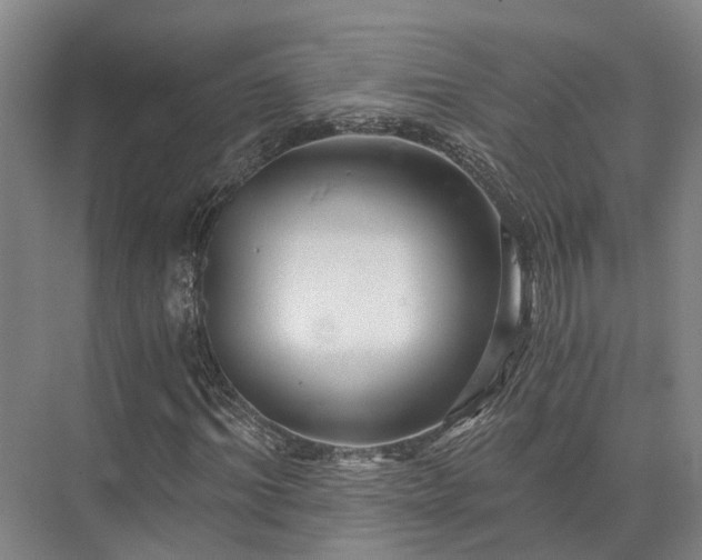 X0000072960964200607282252