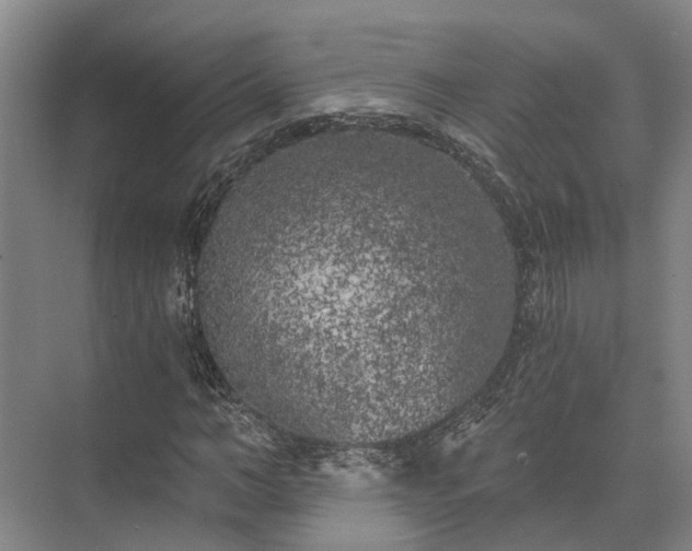 X0000072960966200607282252