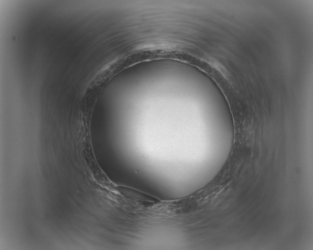 X0000072960967200607282252