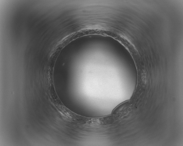 X0000072960968200607282252