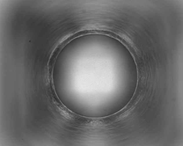 X0000072960974200607282251