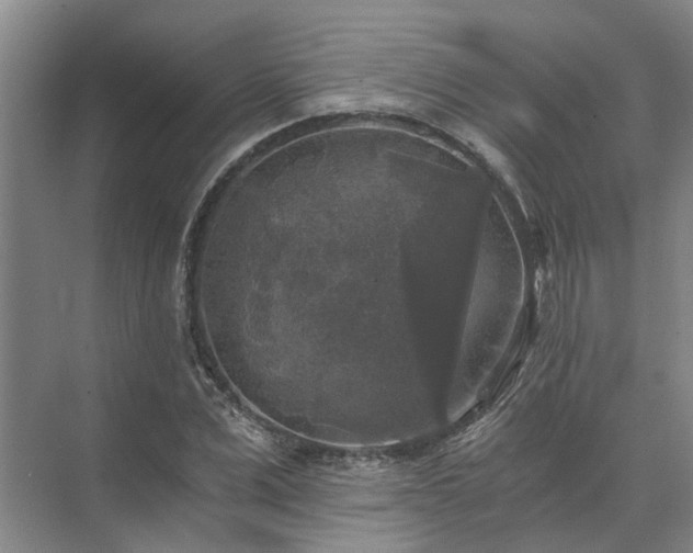 X0000072960975200607282251