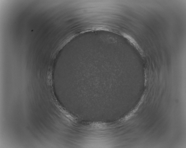 X0000072960977200607282251