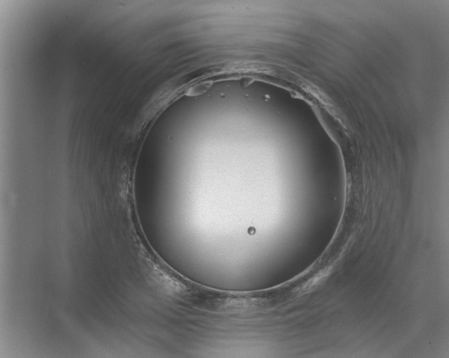 X0000072960985200607282251