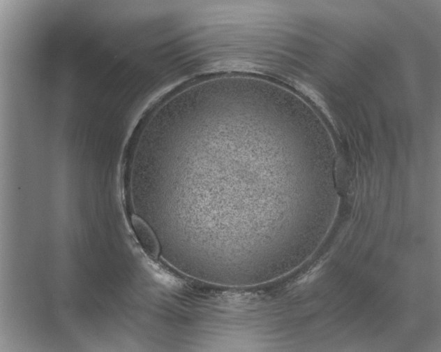 X0000072960987200607282251