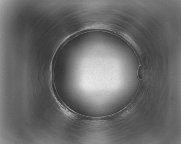 X0000072960988200607282251