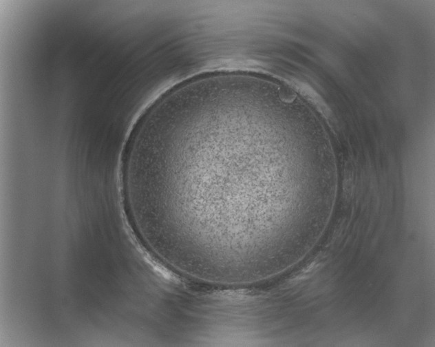 X0000072960990200607282251