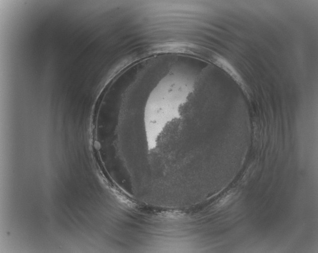 X0000072960994200607282251