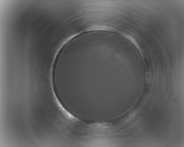 X0000072960995200607282251