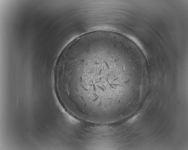 X0000072960999200607282251