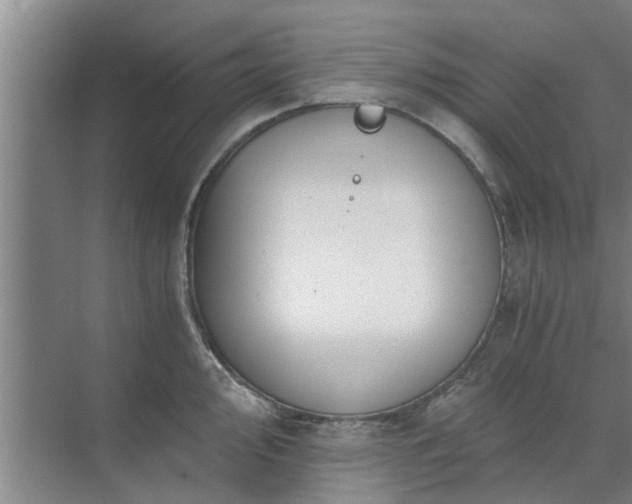 X0000072961000200607282251