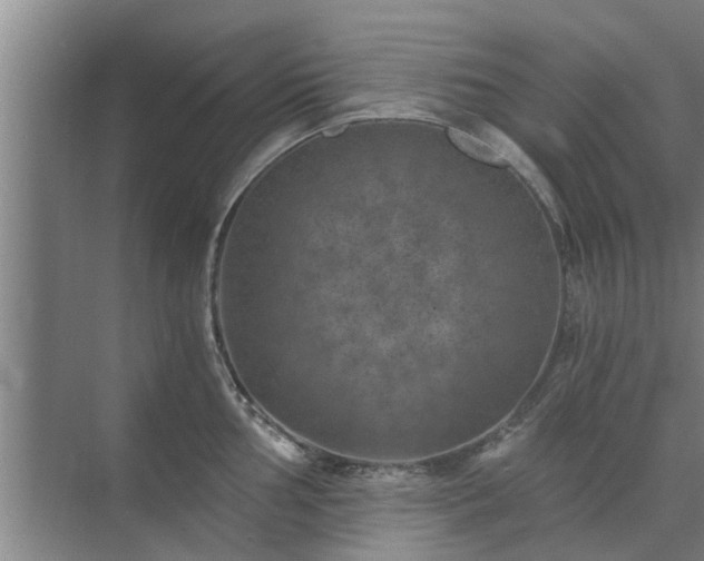 X0000072961002200607282251