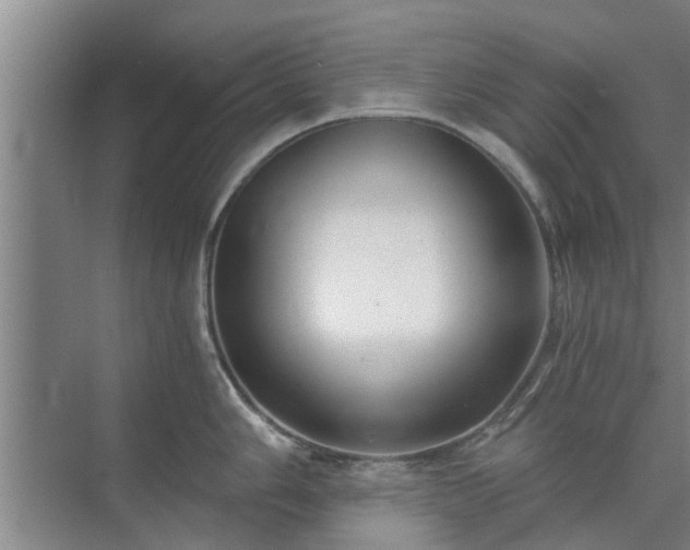 X0000072961006200607282251