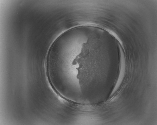 X0000072961007200607282251