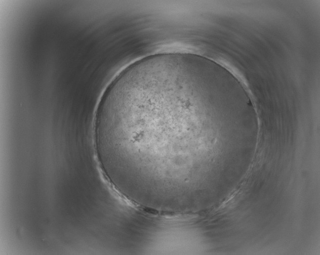 X0000072961008200607282251