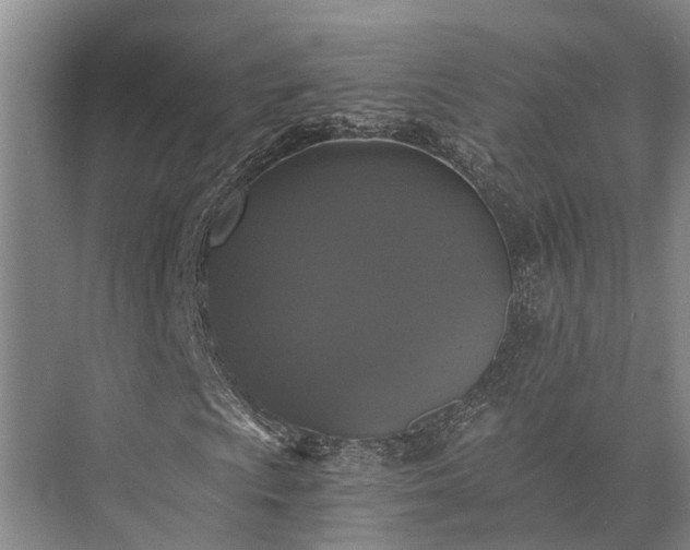 X0000072961009200607282250