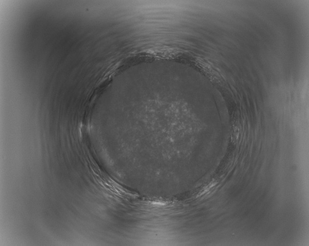 X0000072961010200607282250