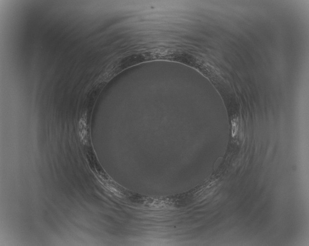 X0000072961011200607282250