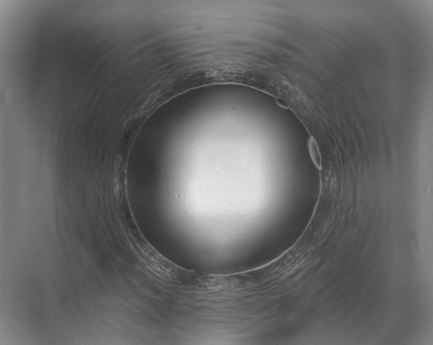 X0000072961012200607282250