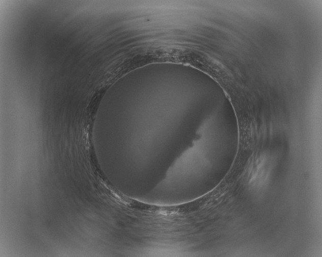 X0000072961013200607282250