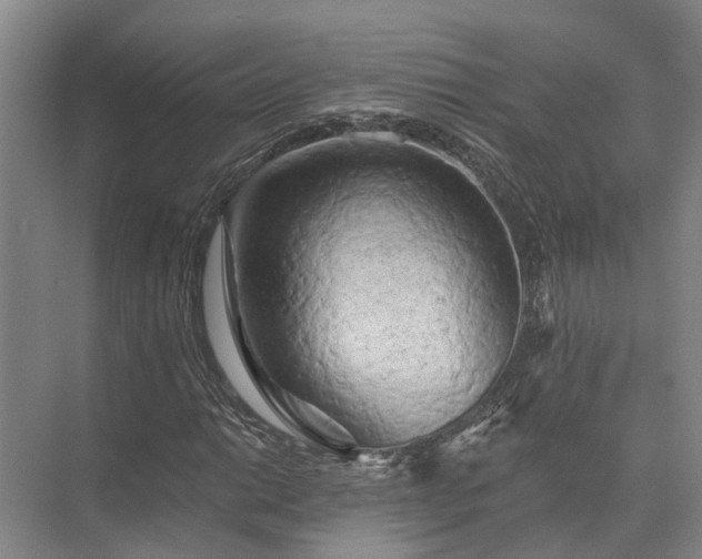 X0000072961014200607282250