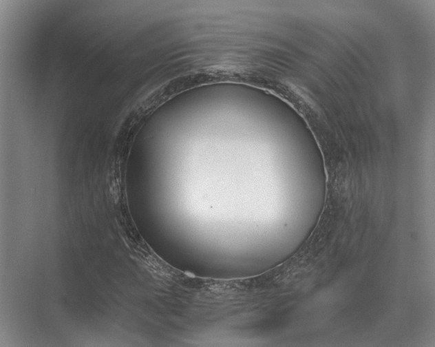 X0000072961015200607282250