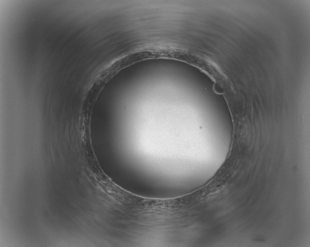 X0000072961016200607282250