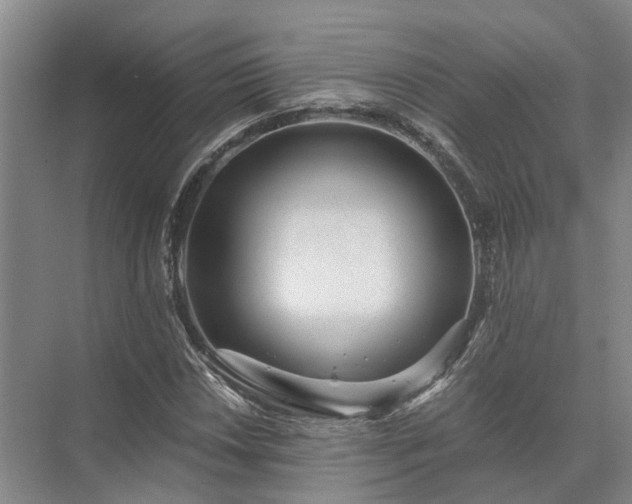 X0000072961018200607282250