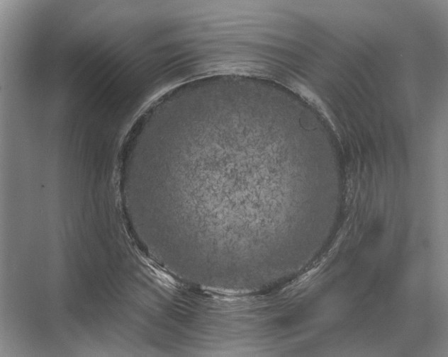 X0000072961019200607282250