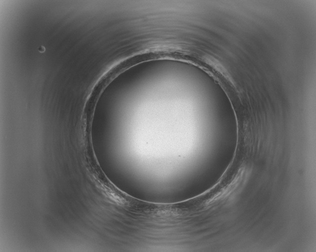 X0000072961021200607282250