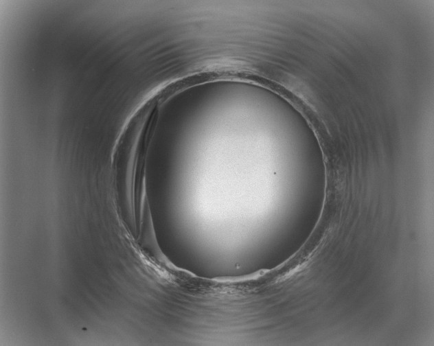 X0000072961022200607282250