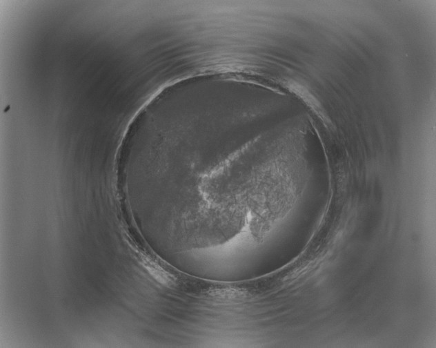 X0000072961023200607282250