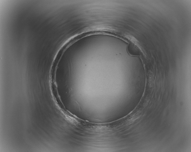 X0000072961024200607282250