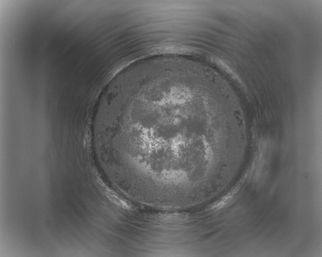 X0000072961025200607282250