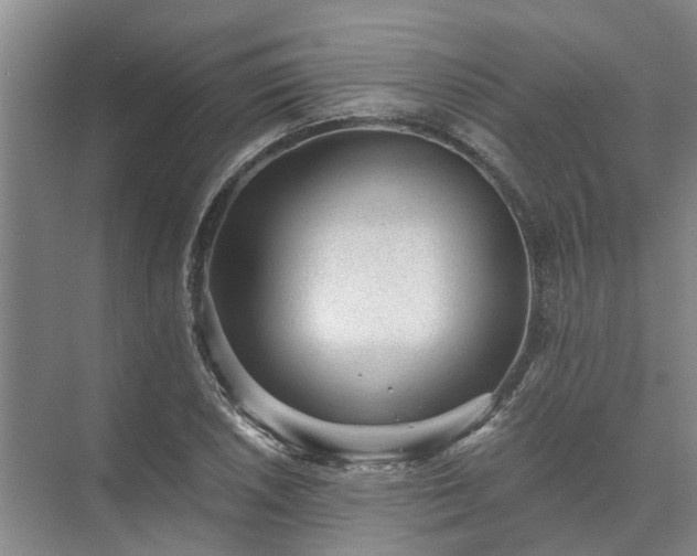 X0000072961026200607282250