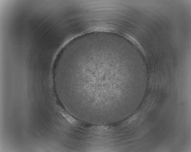 X0000072961027200607282250