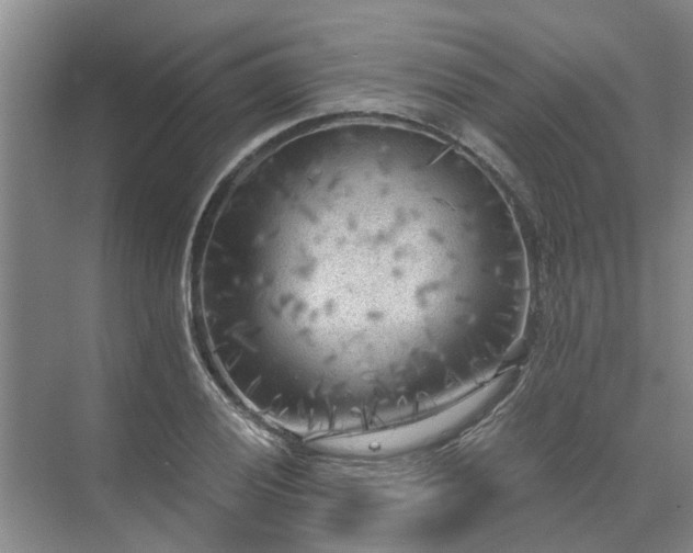 X0000072961028200607282250