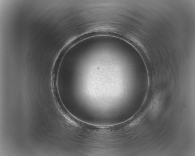 X0000072961029200607282250