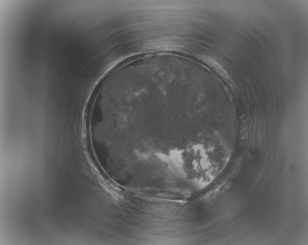 X0000072961031200607282250