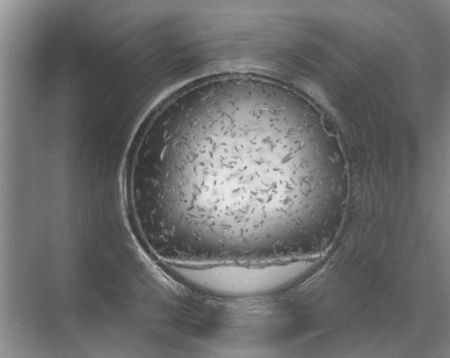 X0000072961032200607282250