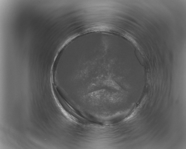 X0000072961034200607282250