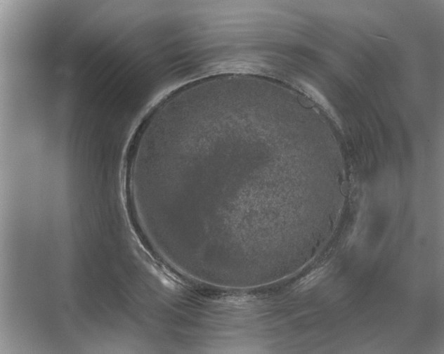 X0000072961035200607282250