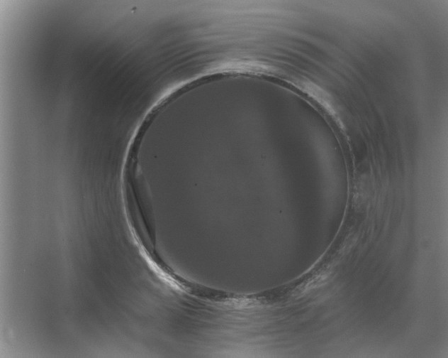 X0000072961037200607282251