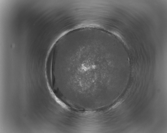 X0000072961038200607282251