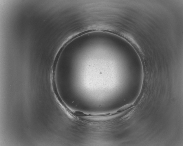 X0000072961040200607282251