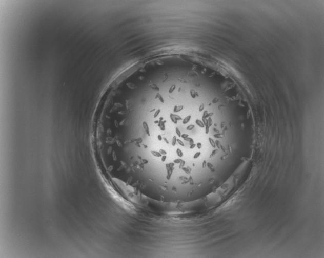 X0000072961042200607282251