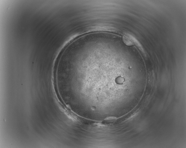 X0000072961043200607282251