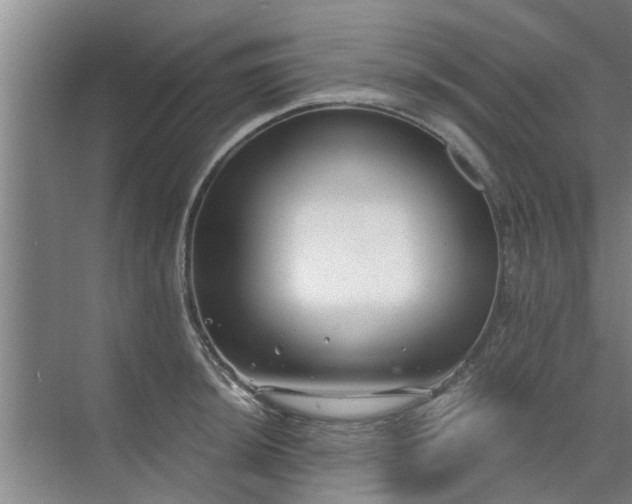 X0000072961044200607282251