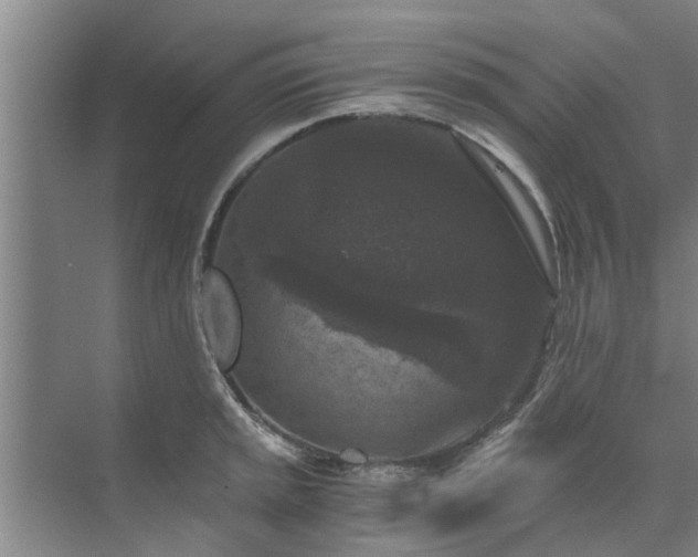 X0000072961045200607282251